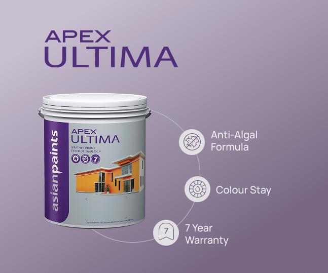 Interior Paints